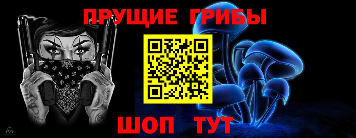 Псилоцибиновые грибы Psilocybine cubensis Елизово